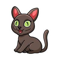 lindo gato korat dibujos animados sentado vector