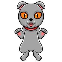 Cute scottish fold cat cartoon vector