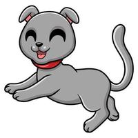 Cute scottish fold cat cartoon vector