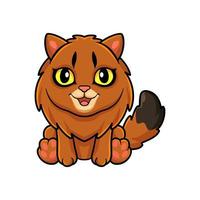 lindo, gato somalí, caricatura, sentado vector