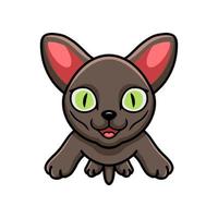 Cute korat cat cartoon flying vector