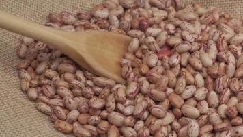 Dry red beans and wooden spoon, organic agriculture, healthy nutrition and protein source video