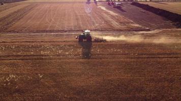 moissonneuse-batteuse récoltant le grain de blé dans l'agriculture céréalière. agriculteur avec des machines de tracteur battant le blé, récoltant la vue aérienne du champ de céréales. ferme biologique, récolte, culture. video