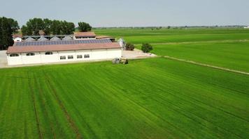 trattore spruzzatore fertilizzante, erbicida, pesticida su riso risaia agricoltura campo video