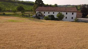 Golden Wheat Agriculture Field and Mill Farm Countryside