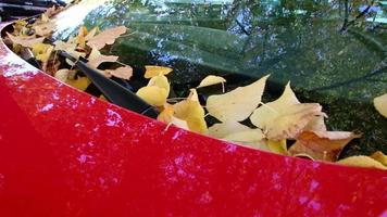 Yellow leaves in autumn on windshield of red car in close-up macro view shows fall and autumn in transportation on the streets with windshield wipers for clear sight and leaf obstacles insurance needs video