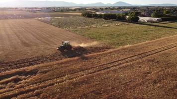 Combine harvester reaping wheat grain in cereal agriculture field farming. Farmer with tractor machinery threshing wheat, harvesting grain field aerial view. Organic farm, harvest, cultivation. video