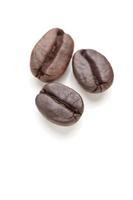Three Roasted Coffee Beans on White photo