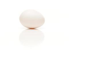 solo huevo sobre fondo blanco foto