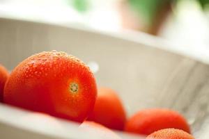 Fresh, Vibrant Roma Tomatoes in Colander with Water Drops photo