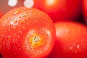 Fresh, Vibrant Roma Tomatoes in Colander with Water Drops photo