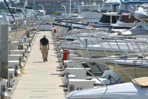 Walking Down the Dock photo