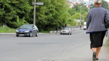 Autos auf der Brücke video