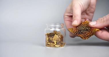 mikrodosering psychedelic svamp, hand krossa torkades flyga agaric video