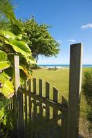 Gate to the Ocean photo