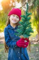 linda jovencita de raza mixta con gorro de punto rojo y mitones sosteniendo un pequeño árbol de navidad al aire libre foto