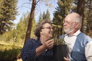 Attractive Senior Couple Overlooking Potted Plants photo