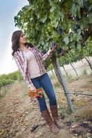 Young Female Farmer Inspecting the Grapes in Vineyard photo