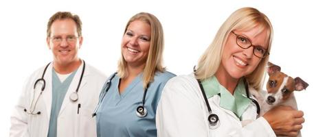 Female Veterinarian Doctors with Small Puppy photo