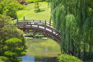 hermoso jardín japonés con estanque y puente. foto