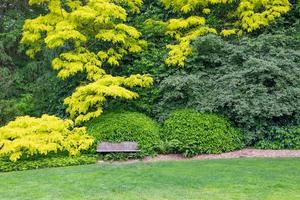 hermoso jardín verde con banco de madera foto