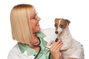 atractiva doctora veterinaria con cachorro pequeño foto