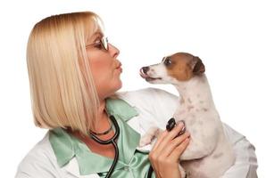 Attractive Female Doctor Veterinarian with Small Puppy photo