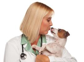 atractiva doctora veterinaria con cachorro pequeño foto