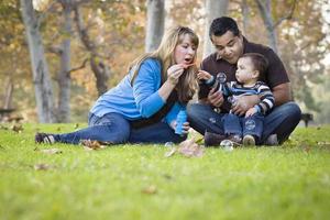Happy Mixed Race Ethnic Family Playing with Bubbles In The Park photo