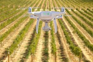 Unmanned Aircraft System Quadcopter Drone In The Air Over Grape Vineyard Farm photo