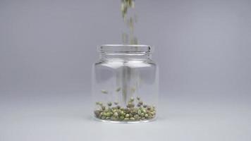 Befüllen eines Glasbehälters mit Cannabissamen, Cannabiszüchtung baut Hanfsamen an video