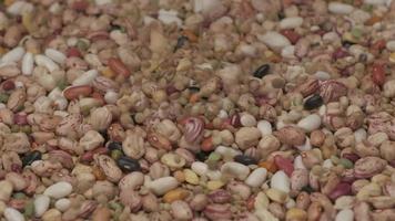 Dry legumes various mixed beans falling video