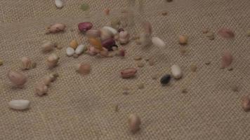 Dry legumes mixed beans falling at slow motion, organic agriculture video