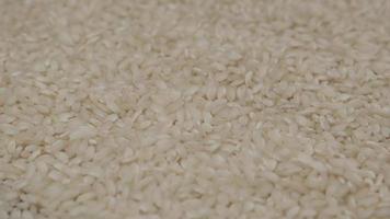 arroz branco grãos de cereais comida rotativa video