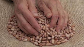 biologisch landbouw hand- geven droog rood bonen peulvruchten gezond voedzaam middellandse Zee voedsel video