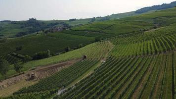 Farmer with tractor working on vineyard agriculture farm field video