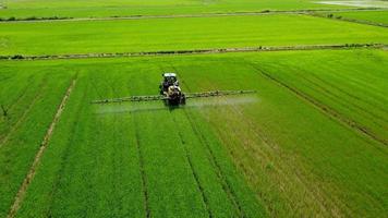 Tractor Sprayer Fertilizer, Herbicide, Pesticide on Rice Paddy Agriculture Field video