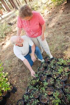 Attractive Senior Couple Overlooking Potted Plants photo