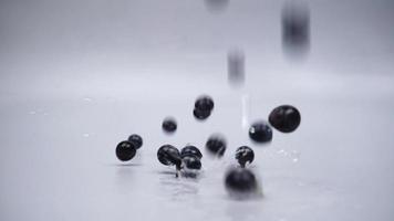 closeup de uva videira azul escura caindo sobre fundo cinza video