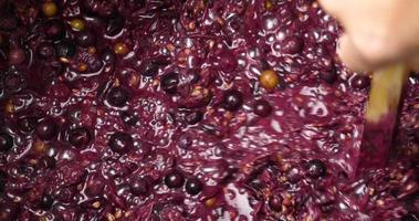 wine fermentation, the process of making wine from grapes video