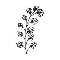 Hand drawn flowers for decoration. Line art Hand drawn flowers in vintage style vector