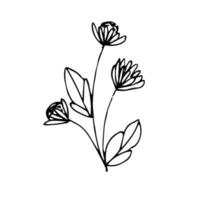 Minimalistic hand drawn flower vector. Illustration of flowers for design and decoration elements in vintage style vector