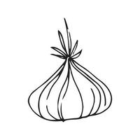 Onion Hand drawn illustration for badge and logo decoration. Line art Onion hand drawn vintage style vector