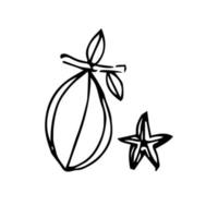 Starfruit hand drawing. starfruit vector illustration for design with line style