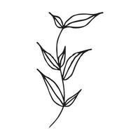 Hand drawn flowers for decoration. Line art Hand drawn flowers in vintage style vector