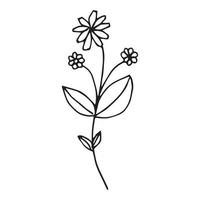 Hand drawn flowers for decoration. Line art Hand drawn flowers in vintage style vector