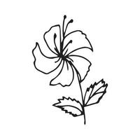 Hand drawn flowers for decoration. Line art Hand drawn flowers in vintage style vector