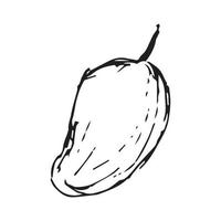 dibujo a mano de mango. ilustración de vector de mango para diseño con estilo de línea