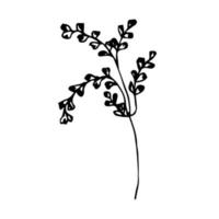 plantas vectoriales minimalistas dibujadas a mano. ilustración de insignia de planta y decoración en estilo retro vector