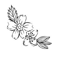 Hand drawn flowers for decoration. Line art Hand drawn flowers in vintage style vector